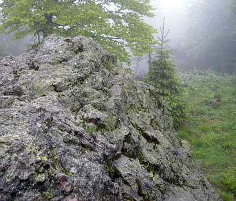 Rennsteig Supermarathon 2009