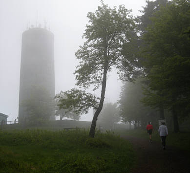 Rennsteig Supermarathon 2009