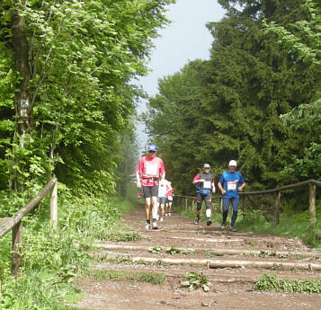 Rennsteig Supermarathon 2009