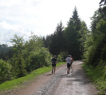 Rennsteig Supermarathon 2009