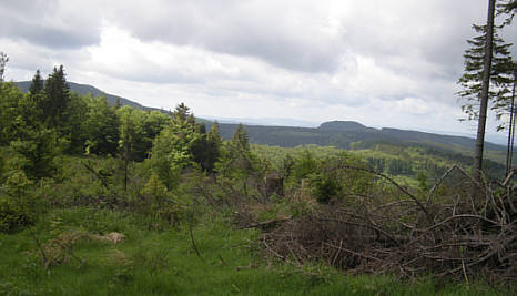 Rennsteig Supermarathon 2009