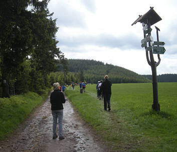 Rennsteig Supermarathon 2009