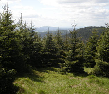 Rennsteig Supermarathon 2009