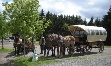 Rennsteig Supermarathon 2009