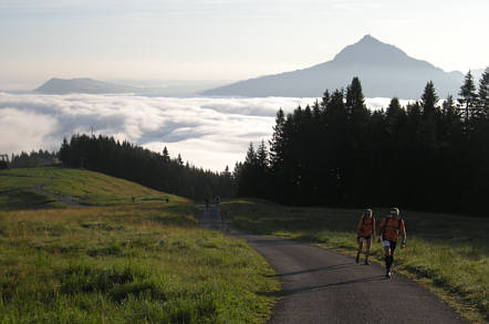 Allgu Panorama Ultratrail