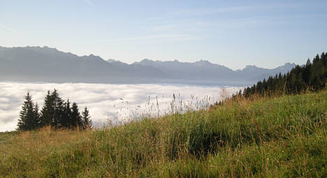 Allgu Panorama Ultratrail