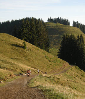 Allgäu Panorama Ultratrail