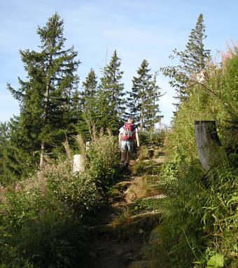 Allgu Panorama Ultratrail