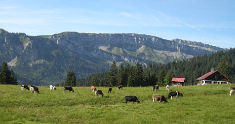 Allgu Panorama Ultratrail