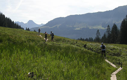 Allgu Panorama Ultratrail