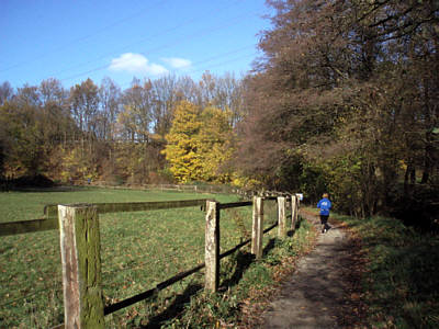 Trailrun-Worldmasters 2009