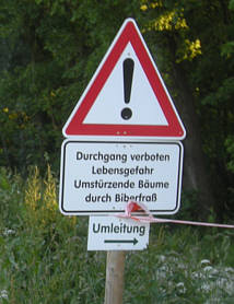 Ulmer Laufnacht 2009