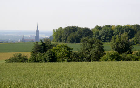 Ulmer Laufnacht 2009