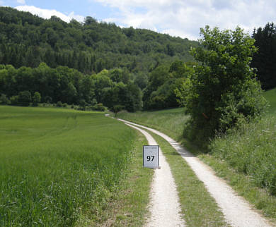 Ulmer Laufnacht 2009