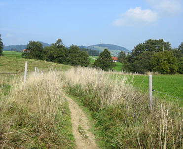 Voralpen-Marathon Kempten 2009 