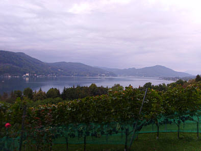 Wrthersee-Ultratrail 2009