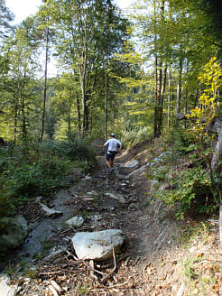 Wrthersee-Ultratrail 2009