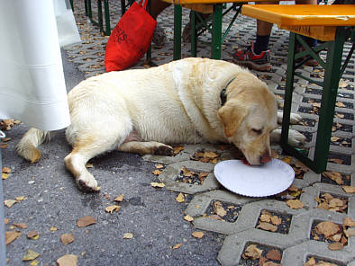 Wrthersee-Ultratrail 2009