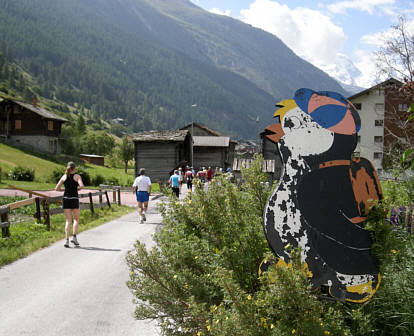 Zermatt Marathon 2009