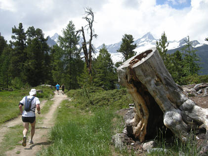 Zermatt Marathon 2009