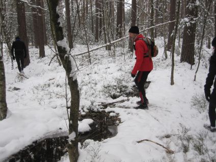 Adventslauf 2010