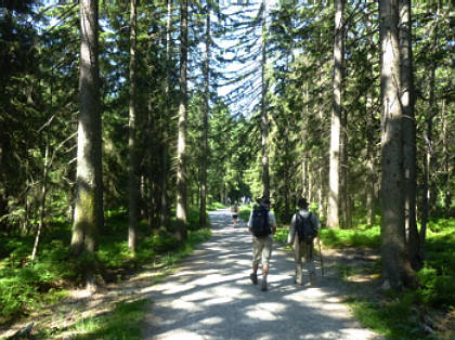 Alpin-Marathon Oberstaufen 2010