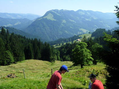 Alpin-Marathon Oberstaufen 2010