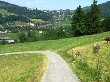 Alpin-Marathon Oberstaufen 2010