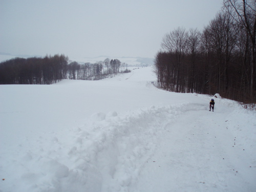 Brocken Challenge 2010