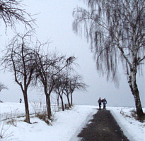 Brocken Challenge 2010