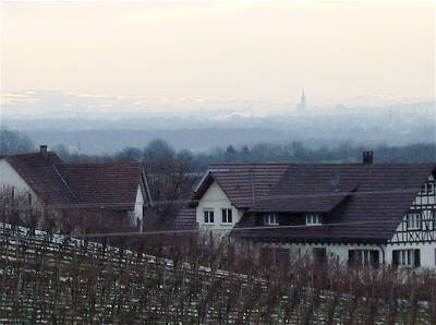 Eisweinlauf 2010