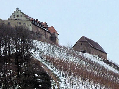 Eisweinlauf 2010