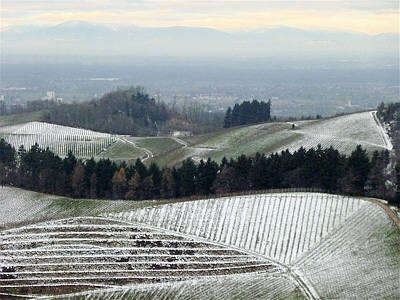 Eisweinlauf 2010