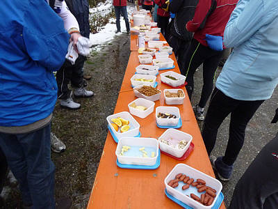 Eisweinlauf 2010