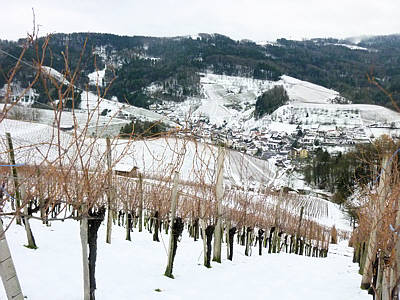 Eisweinlauf 2010