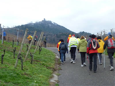 Eisweinlauf 2010