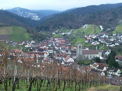 Eisweinlauf 2010