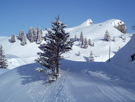 Swiss Snow Walk & Run Engelberg 2010