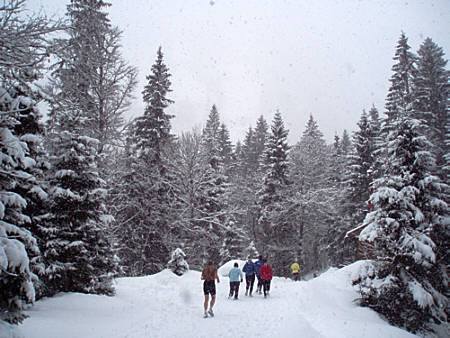 Swiss Snow Walk & Run Engelberg 2010