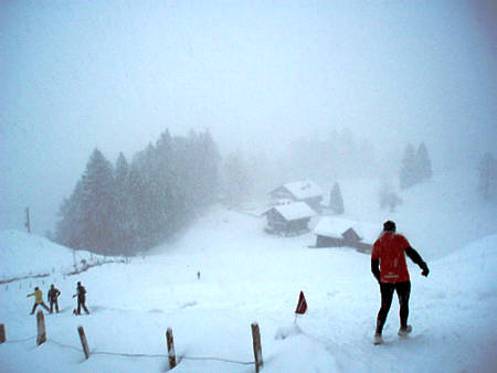 Swiss Snow Walk & Run Engelberg 2010