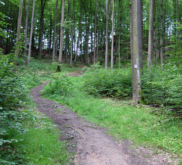 Frankenweg Marathon 2010