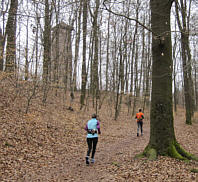Fürther Stadtwaldlauf am 27.03.2010
