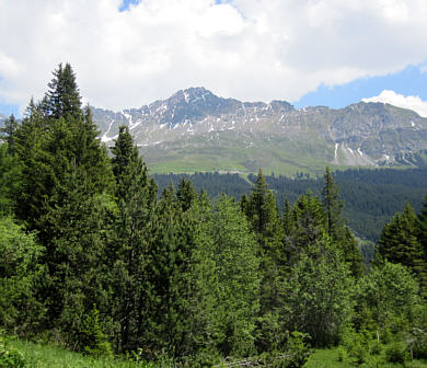 Graubünden Marathon 2010