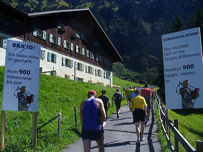 Jungfrau Marathon 2010