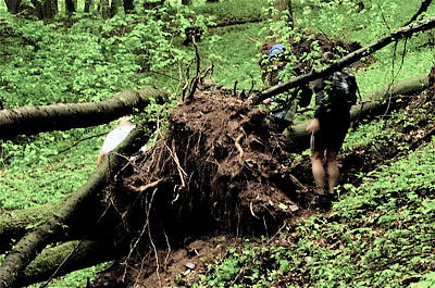 Keufelskopf Ultra Trail 2010