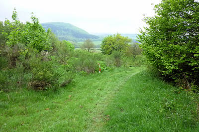 Keufelskopf Ultra Trail 2010