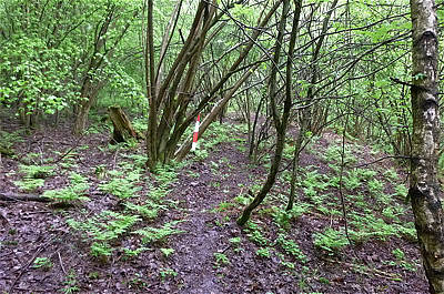 Keufelskopf Ultra Trail 2010