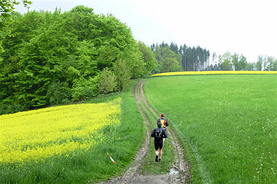 Keufelskopf Ultra Trail 2010