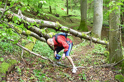 Keufelskopf Ultra Trail 2010