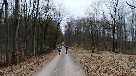 Kyffhuser Berglauf 2010